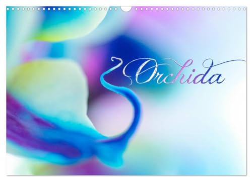 9781325888610: L'Orchida (Calendrier mural 2024 DIN A3 vertical), CALVENDO calendrier mensuel: La beaut des orchides