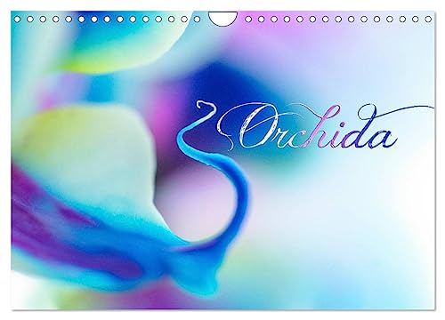 9781325888672: L'Orchida (Calendrier mural 2024 DIN A4 horizontal), CALVENDO calendrier mensuel