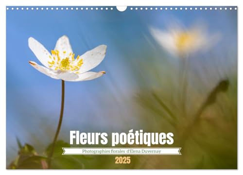 Stock image for Fleurs potiques (Calendrier mural 2025 DIN A3 vertical), CALVENDO calendrier mensuel for sale by BuchWeltWeit Ludwig Meier e.K.