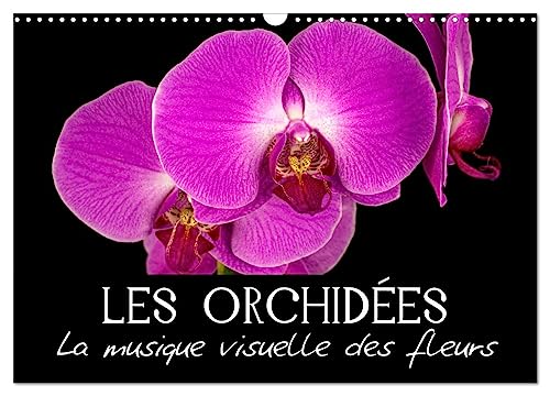 Stock image for Les Orchides - La musique visuelle des fleurs (Calendrier mural 2025 DIN A3 vertical), CALVENDO calendrier mensuel for sale by BuchWeltWeit Ludwig Meier e.K.