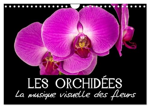 9781325948130: Les Orchides - La musique visuelle des fleurs (Calendrier mural 2025 DIN A4 vertical), CALVENDO calendrier mensuel: Egayez votre quotidien !
