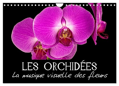 Stock image for Les Orchides - La musique visuelle des fleurs (Calendrier mural 2025 DIN A4 vertical), CALVENDO calendrier mensuel for sale by BuchWeltWeit Ludwig Meier e.K.