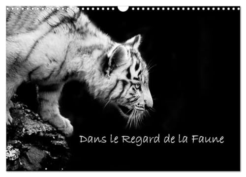 9781325956241: Dans le Regard de la Faune (Calendrier mural 2025 DIN A3 vertical), CALVENDO calendrier mensuel: Dcouvrez de magnifiques portraits animaliers en noir et blanc.