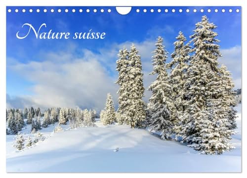 Stock image for Nature suisse (Calendrier mural 2025 DIN A4 vertical), CALVENDO calendrier mensuel for sale by BuchWeltWeit Ludwig Meier e.K.