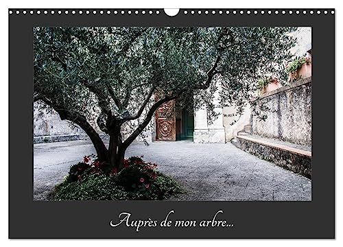 Stock image for Auprs de mon arbre (Calendrier mural 2025 DIN A3 vertical), CALVENDO calendrier mensuel for sale by BuchWeltWeit Ludwig Meier e.K.