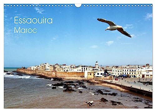 Stock image for Essaouira Maroc (Calendrier mural 2025 DIN A3 vertical), CALVENDO calendrier mensuel for sale by BuchWeltWeit Ludwig Meier e.K.