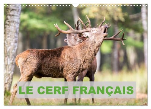 9781325962440: Le Cerf Franais (Calendrier mural 2025 DIN A3 vertical), CALVENDO calendrier mensuel: Photos de cerfs en France