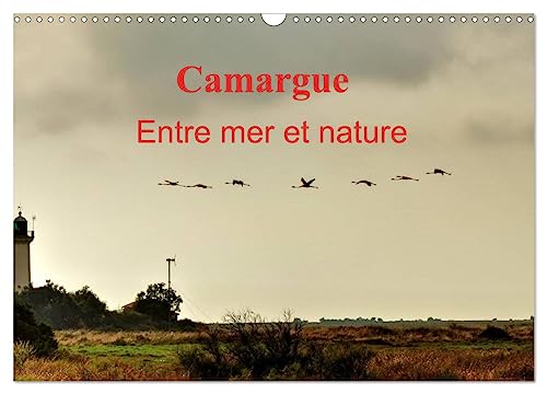 Stock image for Camargue Entre mer et nature (Calendrier mural 2025 DIN A3 vertical), CALVENDO calendrier mensuel for sale by BuchWeltWeit Ludwig Meier e.K.