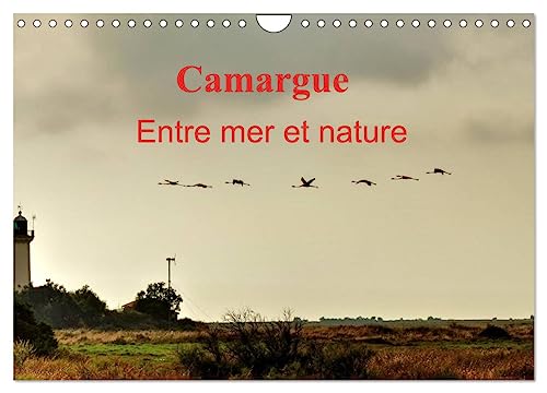 Stock image for Camargue Entre mer et nature (Calendrier mural 2025 DIN A4 vertical), CALVENDO calendrier mensuel for sale by BuchWeltWeit Ludwig Meier e.K.