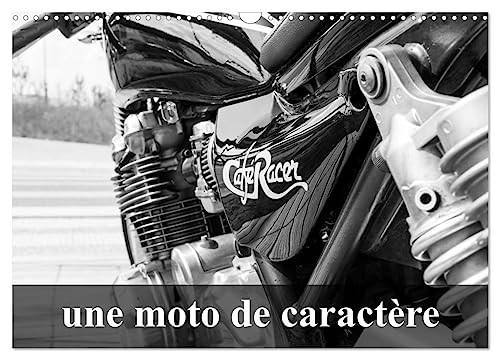 Stock image for Une moto de caractre (Calendrier mural 2025 DIN A3 vertical), CALVENDO calendrier mensuel for sale by BuchWeltWeit Ludwig Meier e.K.