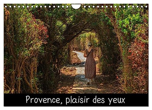 Stock image for Provence, plaisir des yeux (Calendrier mural 2025 DIN A4 vertical), CALVENDO calendrier mensuel for sale by BuchWeltWeit Ludwig Meier e.K.