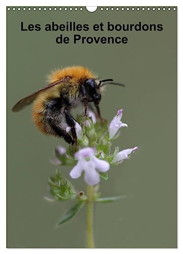 Stock image for Les abeilles et bourdons de Provence (Calendrier mural 2025 DIN A3 horizontal), CALVENDO calendrier mensuel for sale by BuchWeltWeit Ludwig Meier e.K.