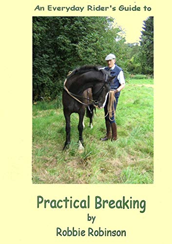 Imagen de archivo de An Everyday Rider's Guide to Practical Breaking a la venta por Lucky's Textbooks