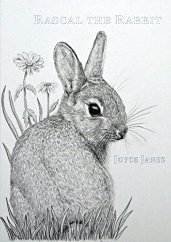 Stock image for Rascal the Rabbit for sale by GreatBookPrices