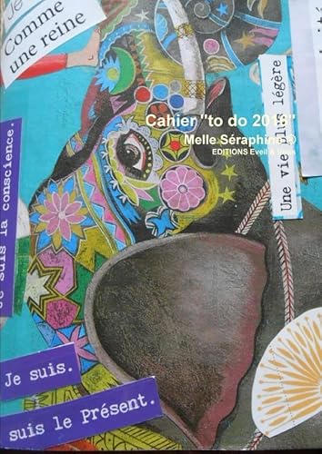 9781326412333: Cahier "to do 2016" (French Edition)