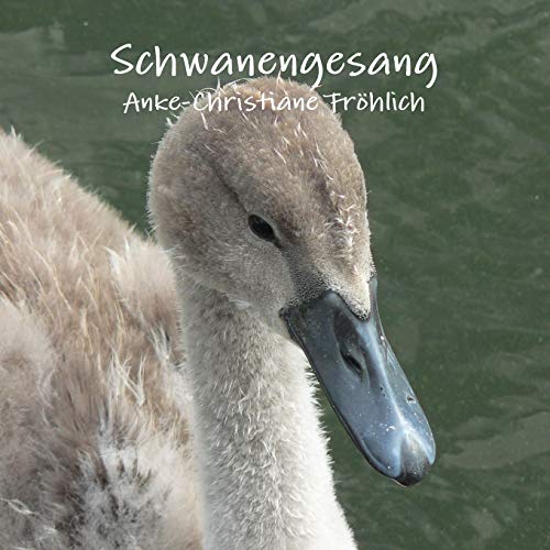 Stock image for Schwanengesang for sale by PBShop.store US