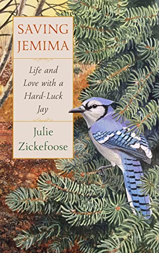 Beispielbild fr Saving Jemima : Life and Love with a Hard-Luck Jay zum Verkauf von Better World Books