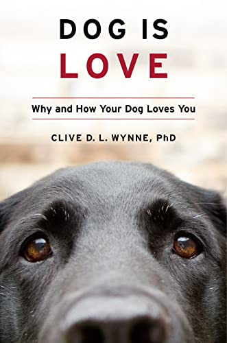 Stock image for Dog Is Love: Why and How Your Dog Loves You for sale by SecondSale