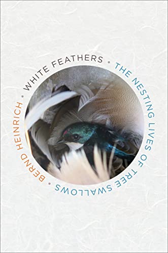 Imagen de archivo de White Feathers: The Nesting Lives of Tree Swallows a la venta por ZBK Books