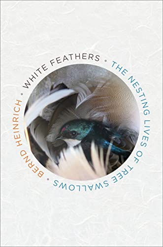 9781328604415: White Feathers: The Nesting Lives of Tree Swallows