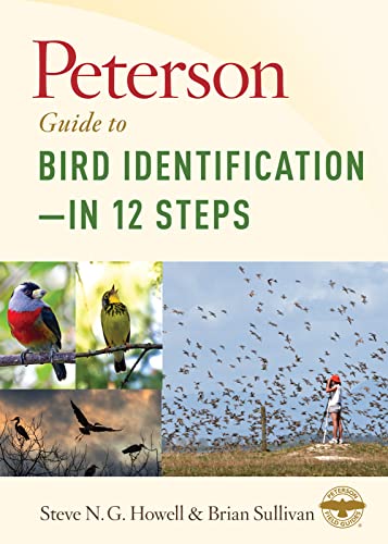 9781328662064: Peterson Guide To Bird Identification―in 12 Steps (Peterson Field Guides)
