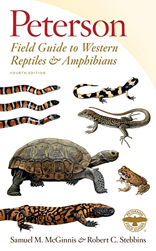 Stock image for Peterson Field Guide to Western Reptiles & Amphibians, Fourth Edition (Peterson Field Guides) for sale by Textbooks_Source