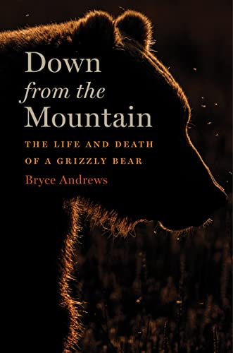 Stock image for Down from the Mountain: The Life and Death of a Grizzly Bear for sale by PlumCircle