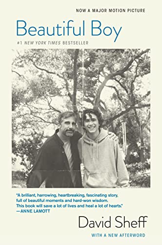 9781328974716: Beautiful Boy (Tie-In): A Father's Journey Through His Son's Addiction