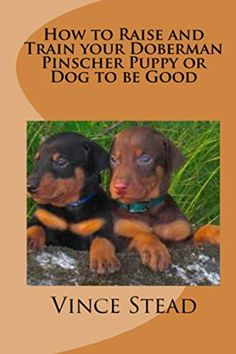 Beispielbild fr How to Raise and Train your Doberman Pinscher Puppy or Dog to be Good zum Verkauf von SecondSale