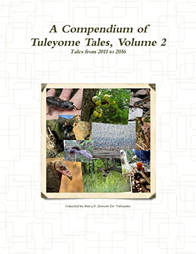 Stock image for A Compendium of Tuleyome Tales, Volume 2 for sale by PBShop.store US