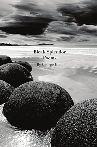 Stock image for Bleak Splendor for sale by California Books