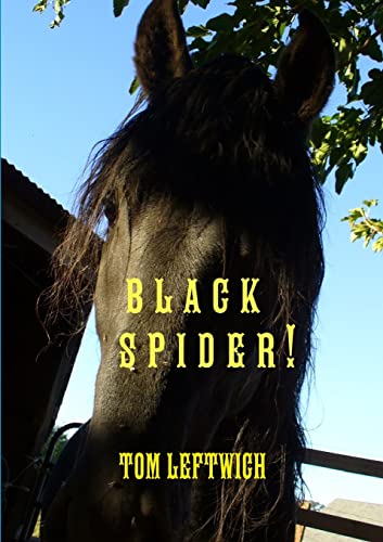 Imagen de archivo de Black Spider ! a la venta por Lucky's Textbooks