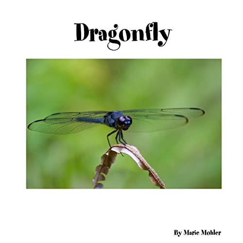 Stock image for Dragonfly for sale by Lucky's Textbooks