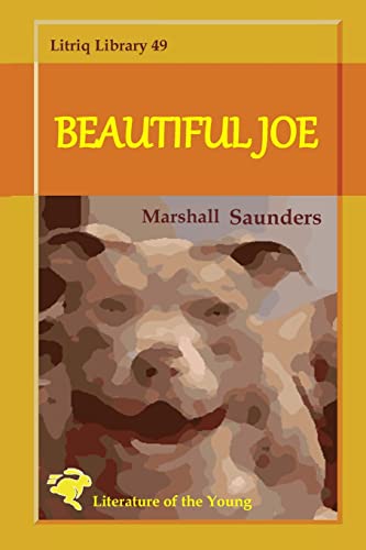 Stock image for Beautiful Joe for sale by PBShop.store US
