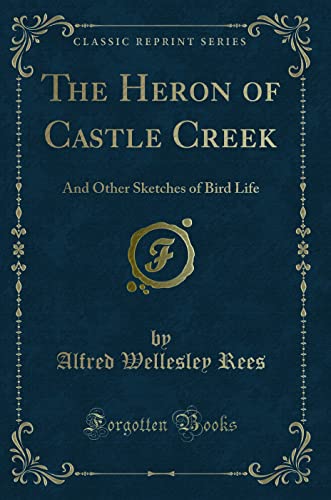 Stock image for The Heron of Castle Creek And Other Sketches of Bird Life Classic Reprint for sale by PBShop.store US