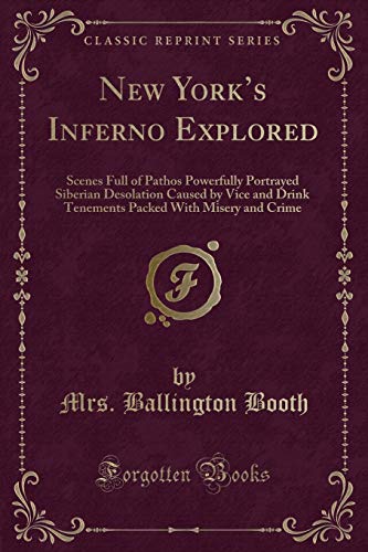 Imagen de archivo de New York's Inferno Explored Scenes Full of Pathos Powerfully Portrayed Siberian Desolation Caused by Vice and Drink Tenements Packed With Misery and Crime Classic Reprint a la venta por PBShop.store US