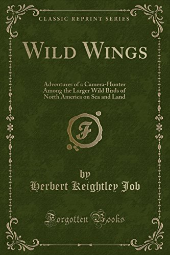 Imagen de archivo de Wild Wings Adventures of a CameraHunter Among the Larger Wild Birds of North America on Sea and Land Classic Reprint a la venta por PBShop.store US