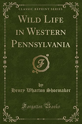 Beispielbild fr Wild Life in Western Pennsylvania Classic Reprint zum Verkauf von PBShop.store US