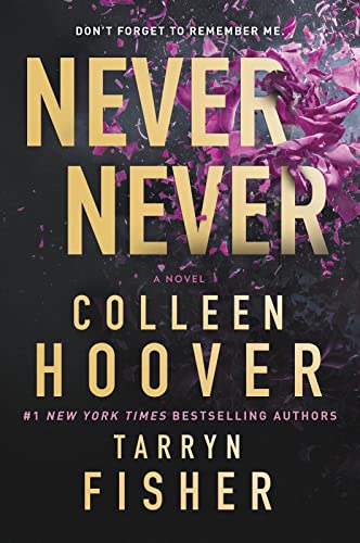 Stock image for Never Never: A Romantic Suspense Novel of Love and Fate for sale by Hawking Books