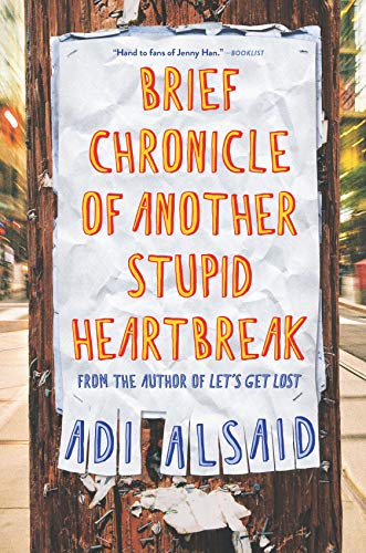 Imagen de archivo de Brief Chronicle of Another Stupid Heartbreak a la venta por Your Online Bookstore