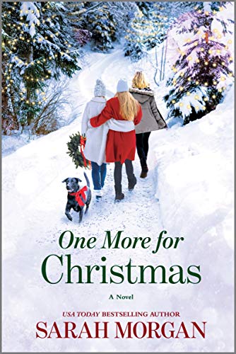 Stock image for One More for Christmas: A Novel for sale by Gulf Coast Books