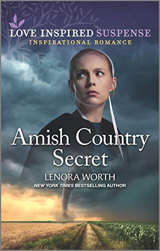 Stock image for Amish Country Secret (Love Inspired Suspense) for sale by Your Online Bookstore