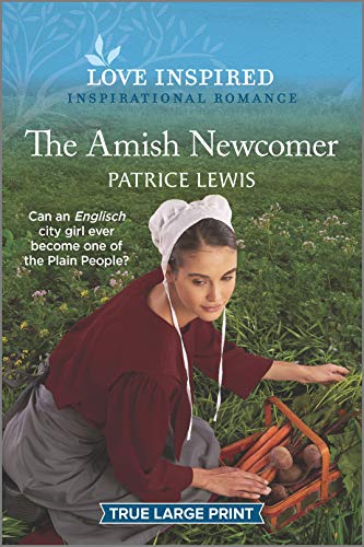 Beispielbild fr The Amish Newcomer zum Verkauf von Better World Books