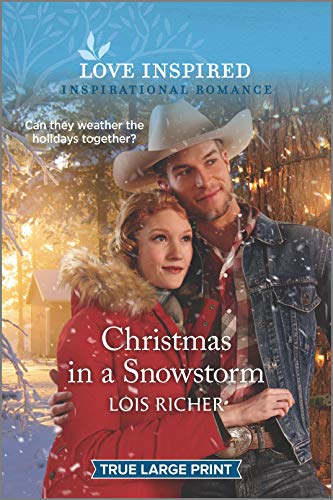 Stock image for Christmas in a Snowstorm for sale by Better World Books