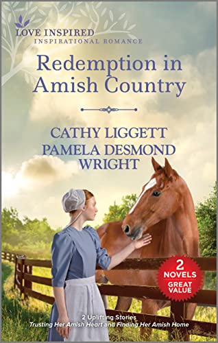 Imagen de archivo de Redemption in Amish Country (Love Inspired) a la venta por SecondSale