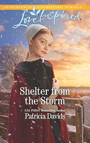 Imagen de archivo de Shelter from the Storm (North Country Amish, 1) a la venta por Your Online Bookstore