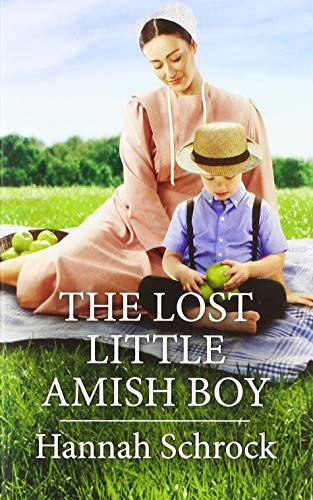 Stock image for The Lost Little Amish Boy (Harl Mmp Amish Singles) for sale by Gulf Coast Books