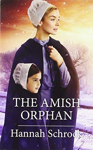 Beispielbild fr The Amish Orphan zum Verkauf von SecondSale