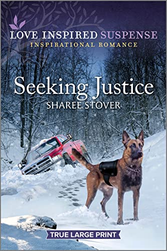 Stock image for Seeking Justice (Love Inspired Suspense) for sale by SecondSale