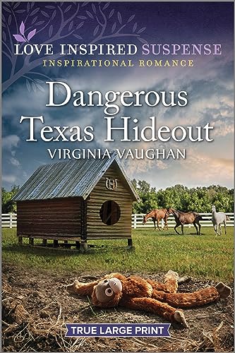 Stock image for Dangerous Texas Hideout for sale by ThriftBooks-Atlanta